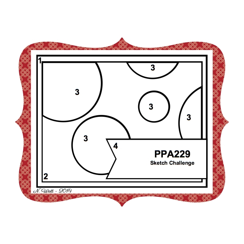 PPA 229
