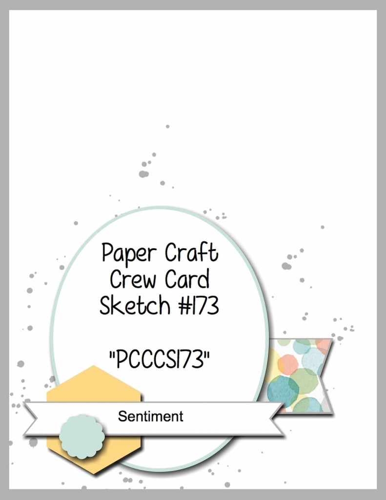 PCCCS173 DT Sketch 12-02-2015