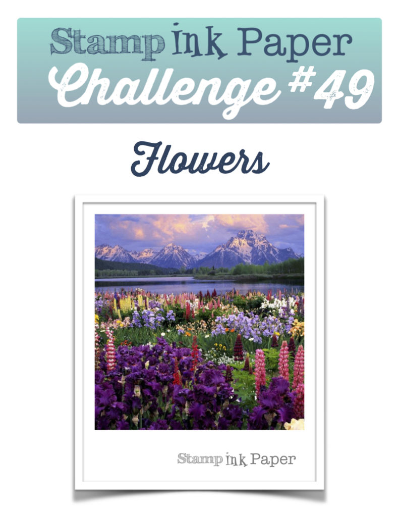 SIP Challenge 49 Flowers 800