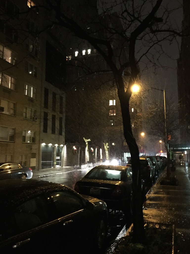 E 52nd Snow