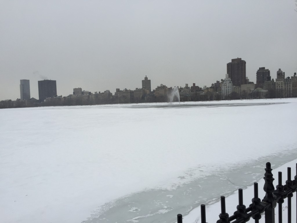 Central Park Res 3-2015