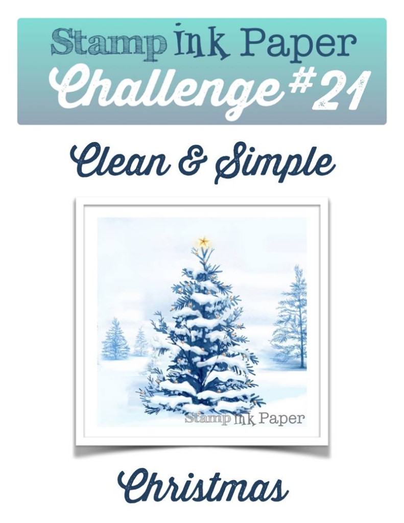SIP Challenge 20 - CAS Christmas