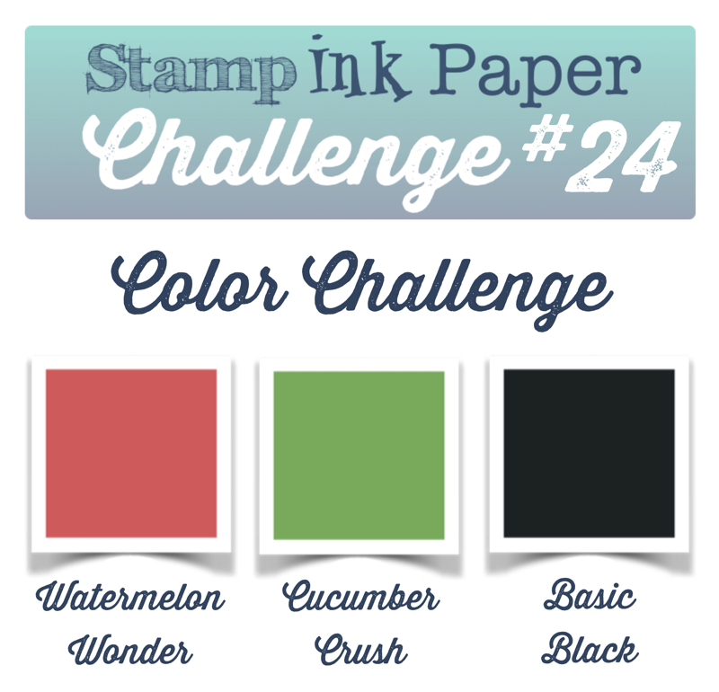 SIP Color Challenge 24 800