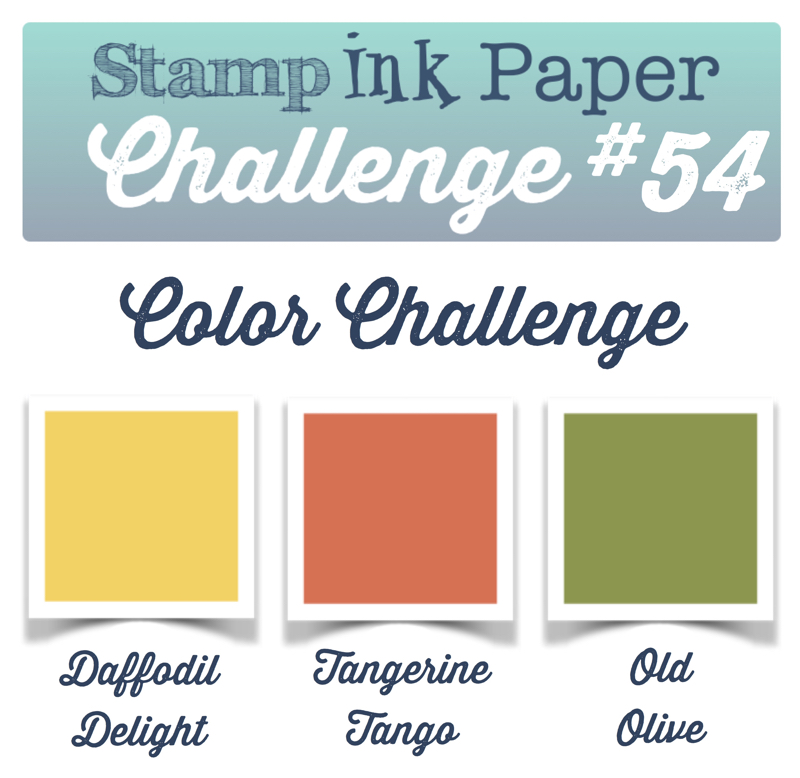 SIP Color Challenge 54 800